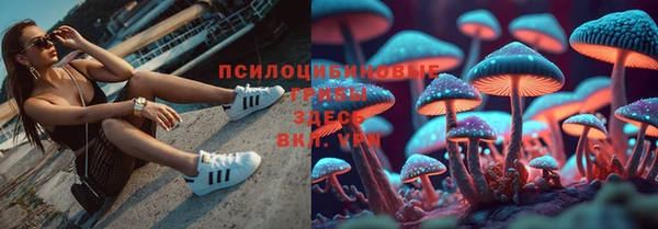 спайс Балахна